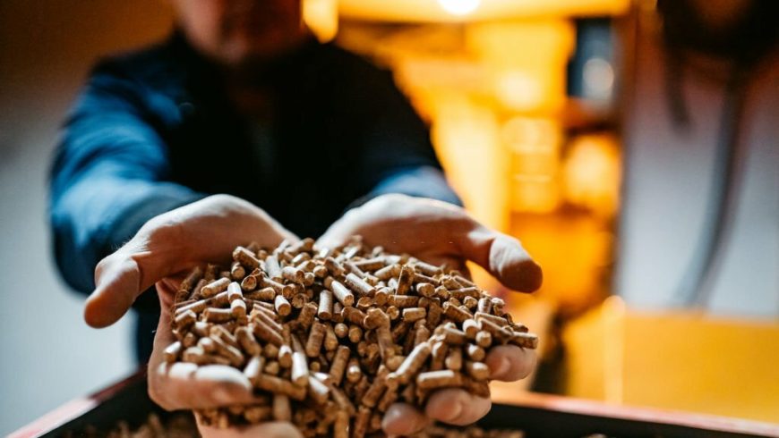 ¿Por qué las estufas a pellet son una opción ecológica y eficiente?