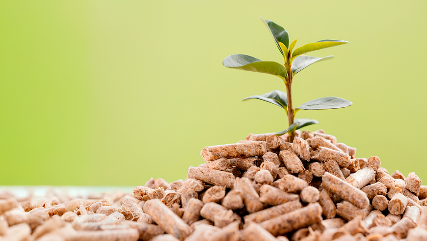 Estufas a pellet: ahorro económico y compromiso ambiental para el hogar chileno